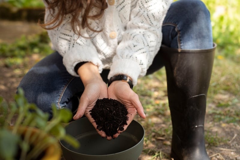 DIY Sustainable Events